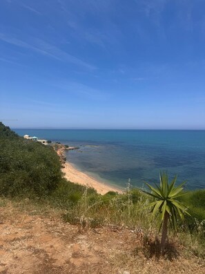 Un paisaje costero con cielo despejado, playa de arena y una palmera.
