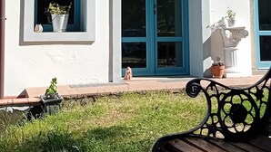 Valkoinen rakennus, jossa on sinisillä kehyksillä varustetut ikkunat, ja edessä penkki.