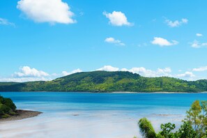 Beach - LUXURY 7 BEDROOM PRIVATEE ESTATE WITH POOL (Hamilton Island)