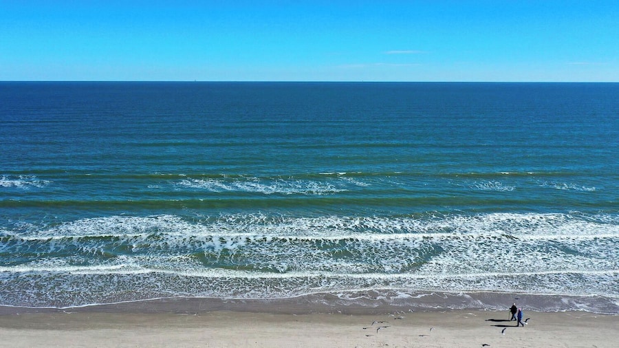 Terrace Landing Trio by Avantstay Sleeps 36 3 Coastal Home + Shared Pool + Golf Cart Zone Old Town Port A Dining
