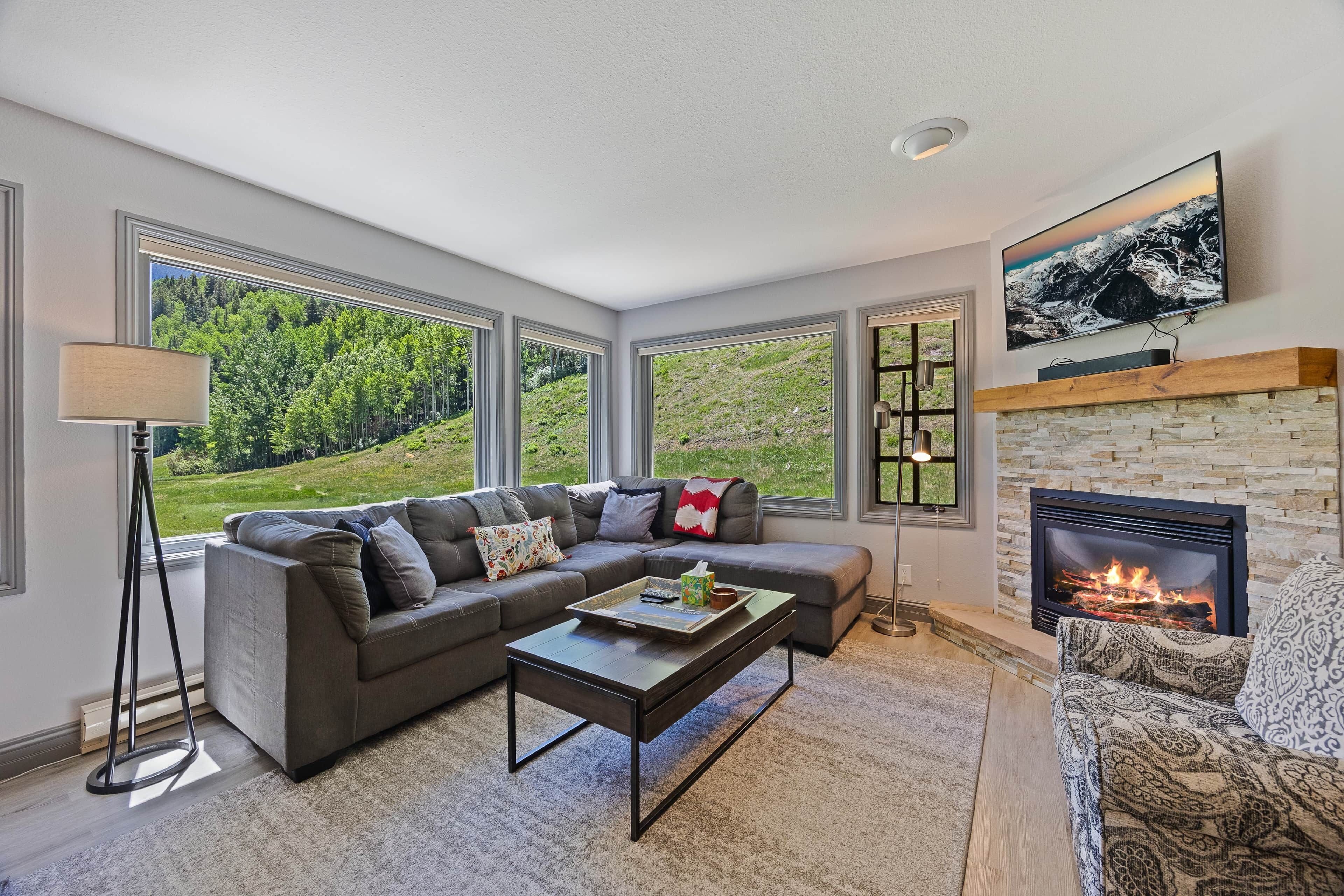 TV, fireplace
