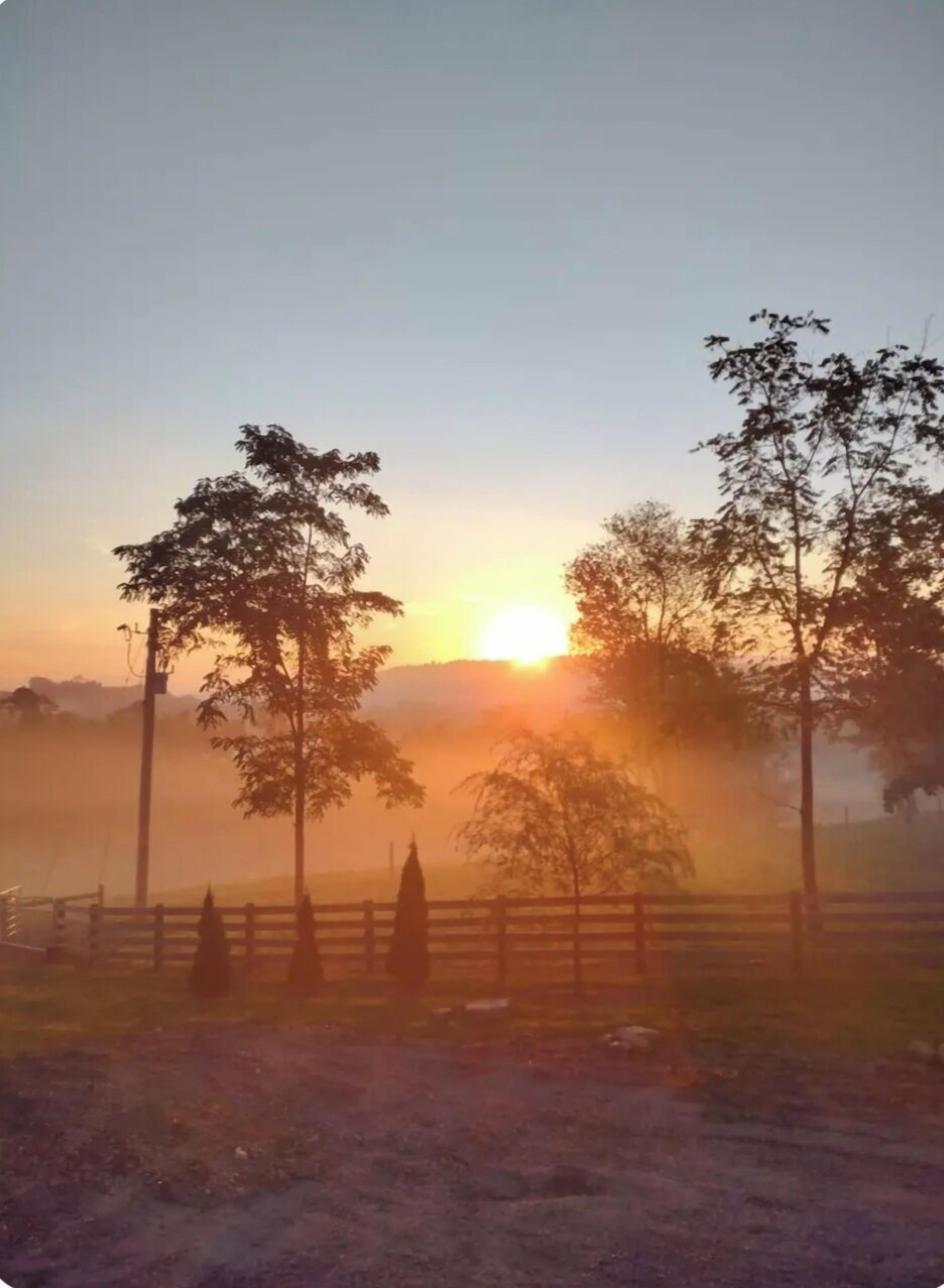 Ett lantligt landskap med träd och ett staket, fotograferat under soluppgång eller solnedgång.