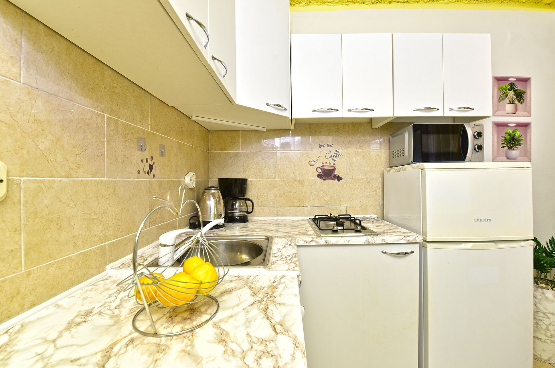 Fridge, microwave, stovetop, dishwasher