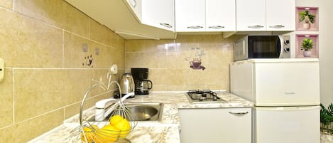 Fridge, microwave, stovetop, dishwasher