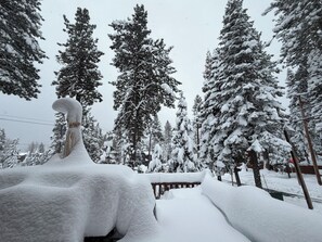 Schneebedeckte Landschaft mit hoch aufragenden Nadelbäumen und einem Holzzaun.