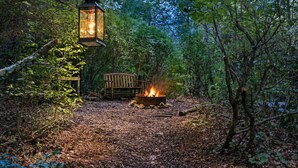 A forested area with a fire pit and a wooden bench. - Cabin Sleeps 12: Screened Hot Tub, Arcade, Dogs (Blue Ridge)