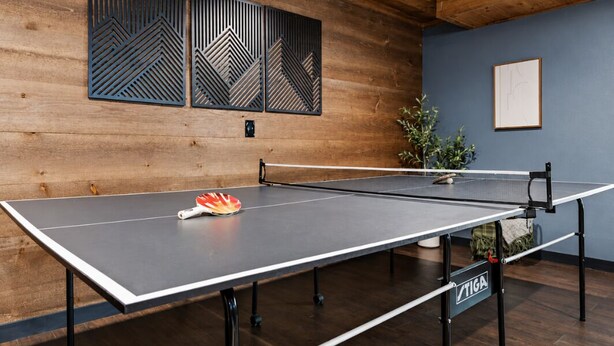 A ping pong table with a net, a paddle, and a bag in a room with wooden walls and a blue accent wall. - Cabin Sleeps 12: Screened Hot Tub, Arcade, Dogs (Blue Ridge)