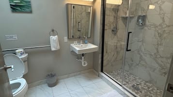 Room 307 | Bathroom | Hair dryer, soap, shampoo, toilet paper
