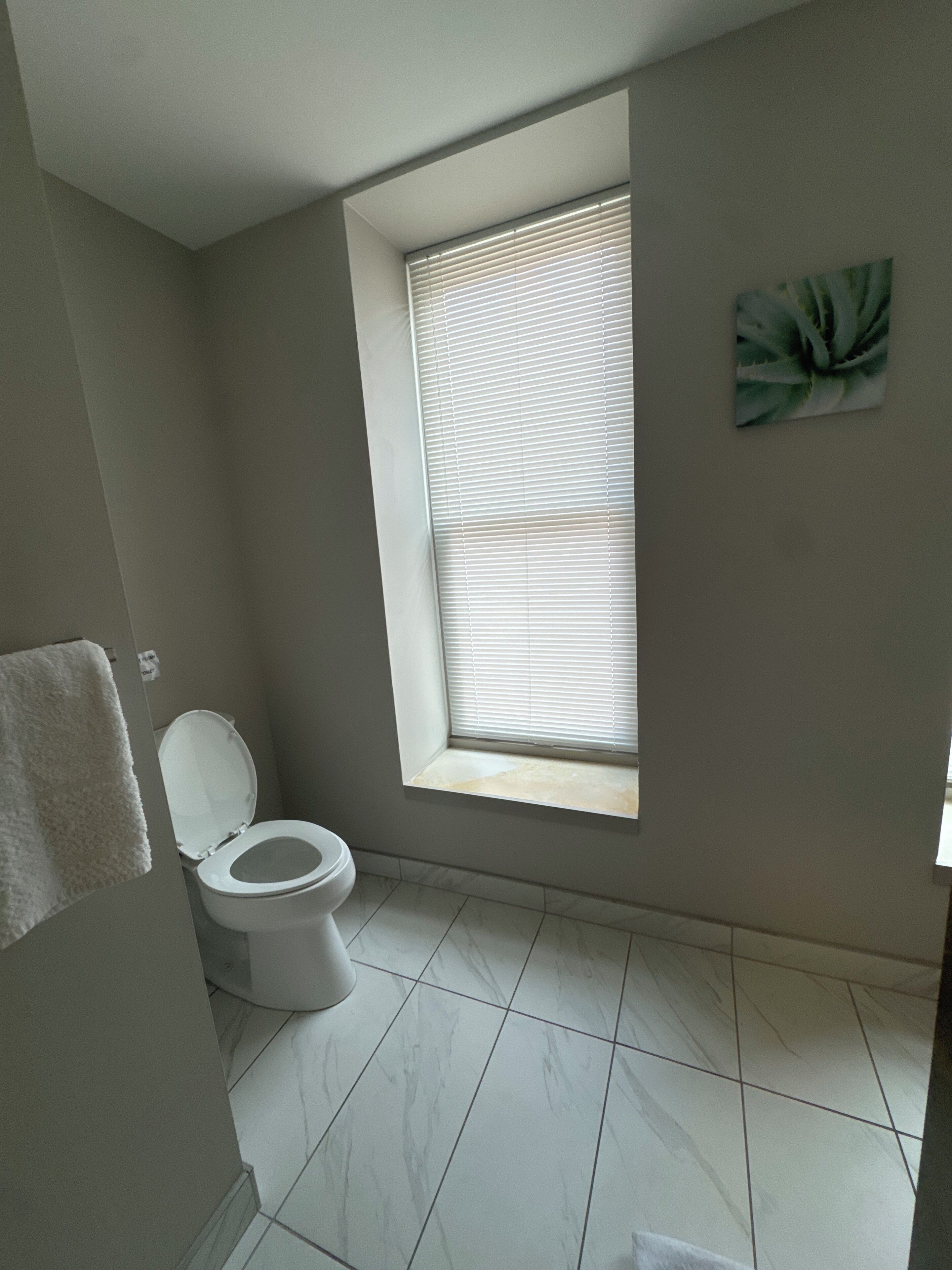 A bathroom with a toilet, a window, and a wall-mounted artwork.