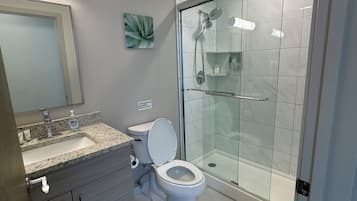 A modern bathroom with a glass-enclosed shower, a toilet, and a vanity with a mirror.