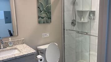 Appartement, vue ville | Salle de bain | Articles de toilette gratuits, sèche-cheveux, savon, shampoing