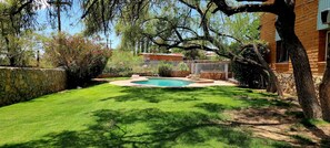 Property grounds - Premier Studio Private Laundry Parking Pool Patio (El Paso)