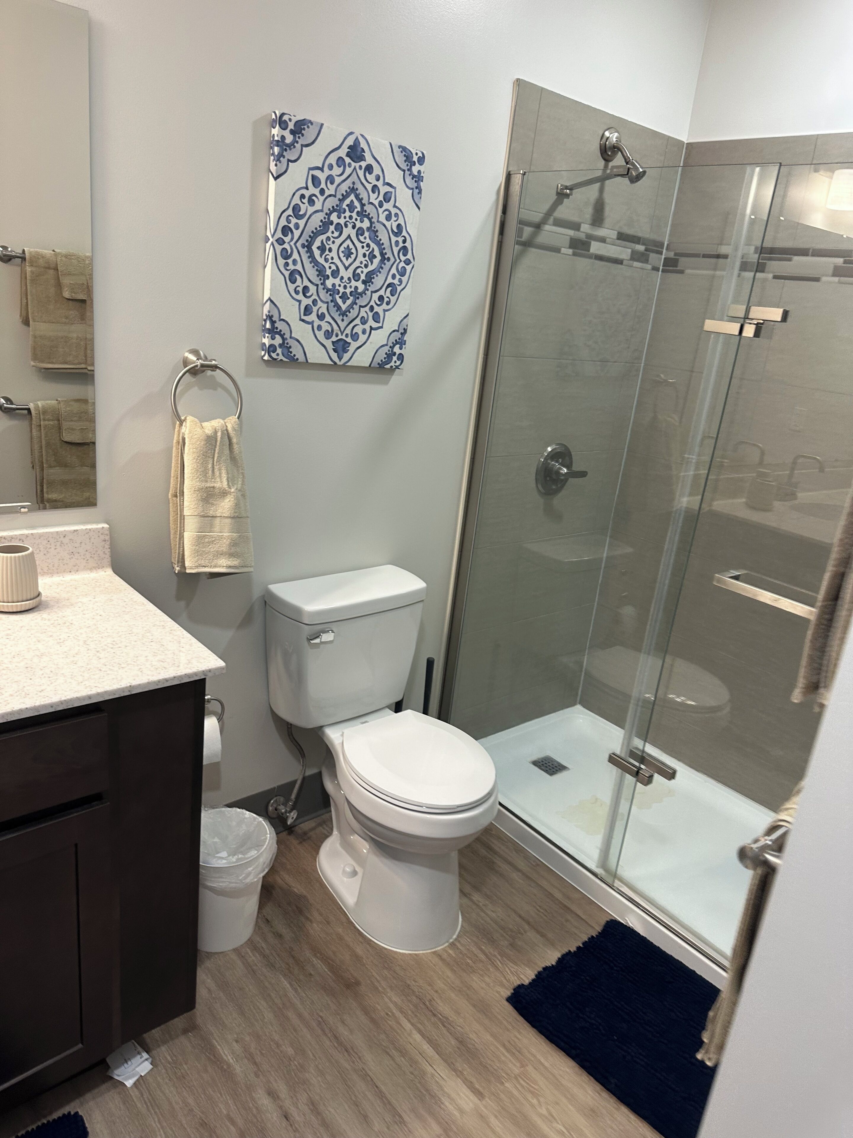 Hair dryer, towels, soap, toilet paper