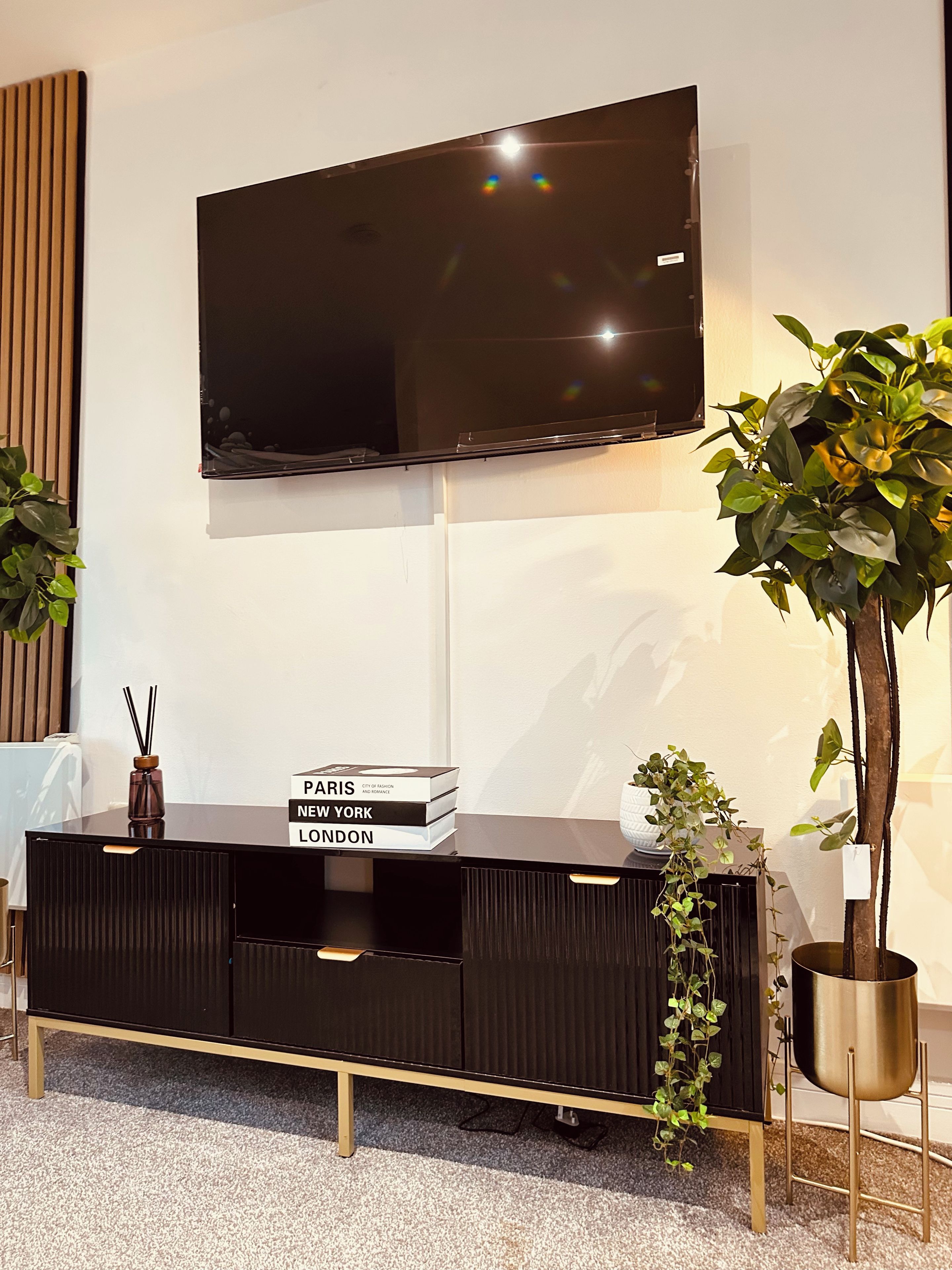 Ein modernes Wohnzimmer mit einem flachbildfernseher an der Wand, einer schwarzen Unterhaltungsanlage mit Büchern und zwei Blumentöpfen.