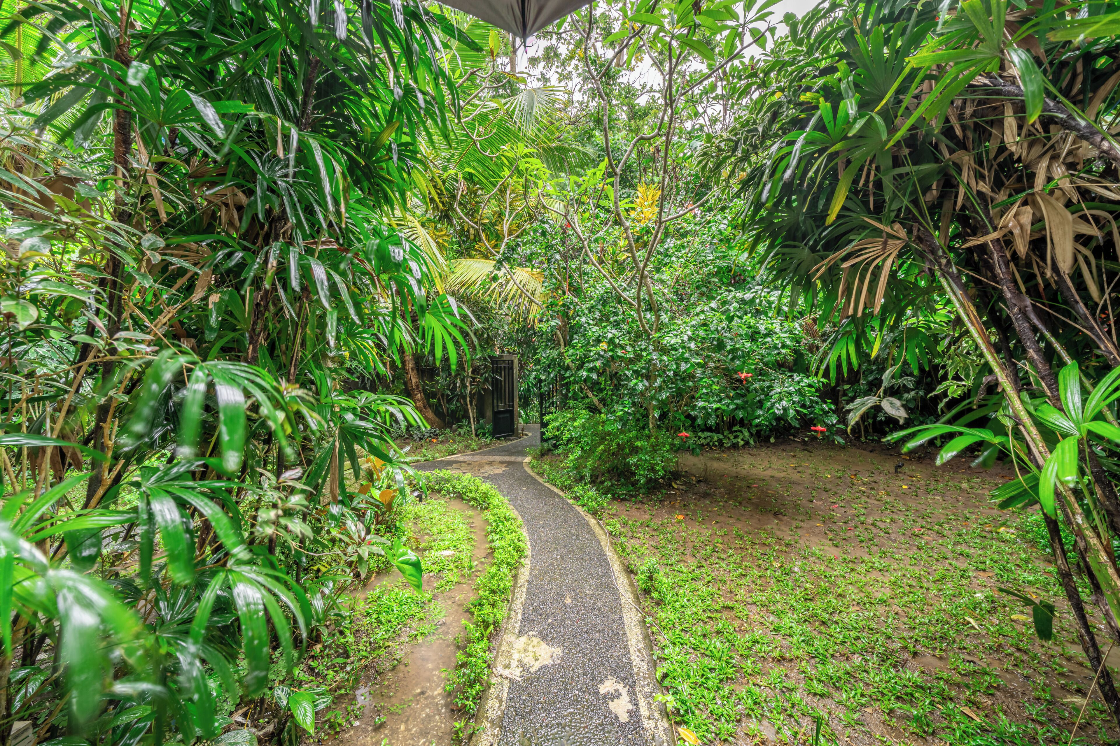 Deluxe Villa, 3 Bedrooms, Garden View | Property grounds