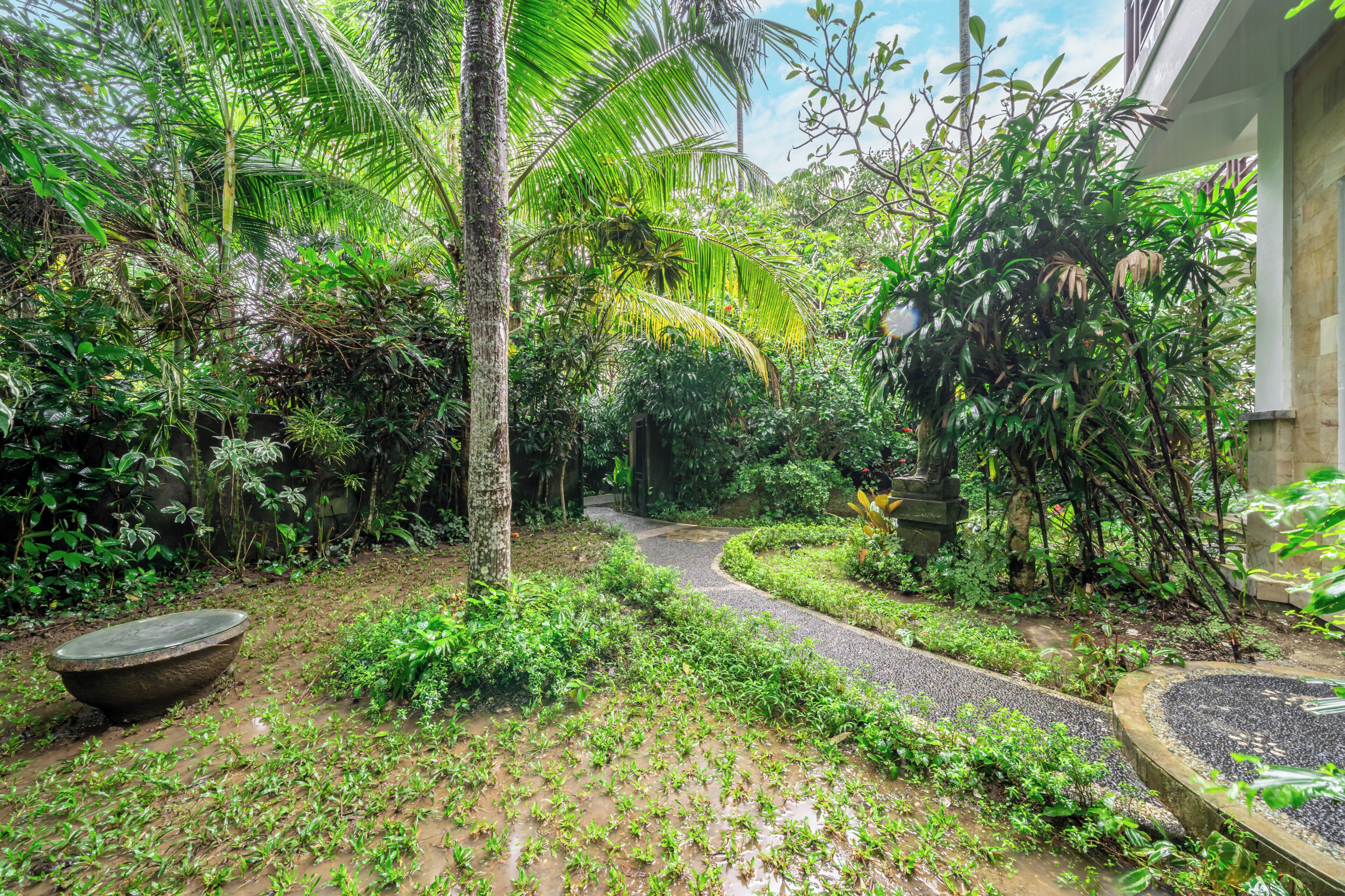 Un giardino con un vialetto curvo, un ampio catino in pietra e una fitta vegetazione tropicale.