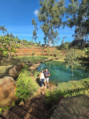 A pond with a wooden bridge, surrounded by greenery and trees. - FAZENDA BROTAS (Brotas)