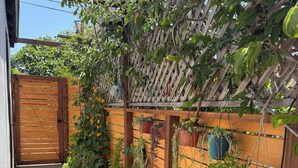 Cerca de madeira com vasos de plantas e portão de madeira.