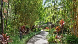 A pathway surrounded by lush greenery and bamboo trees. - Spacious 3BR Retreat | Pool, Gym & Parking (Bowen Hills)