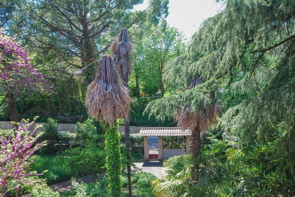 view-from-room