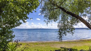 Blick auf einen See mit einer grasbewachsenen Uferlinie, einem Baum im Vordergrund und blauem Himmel.