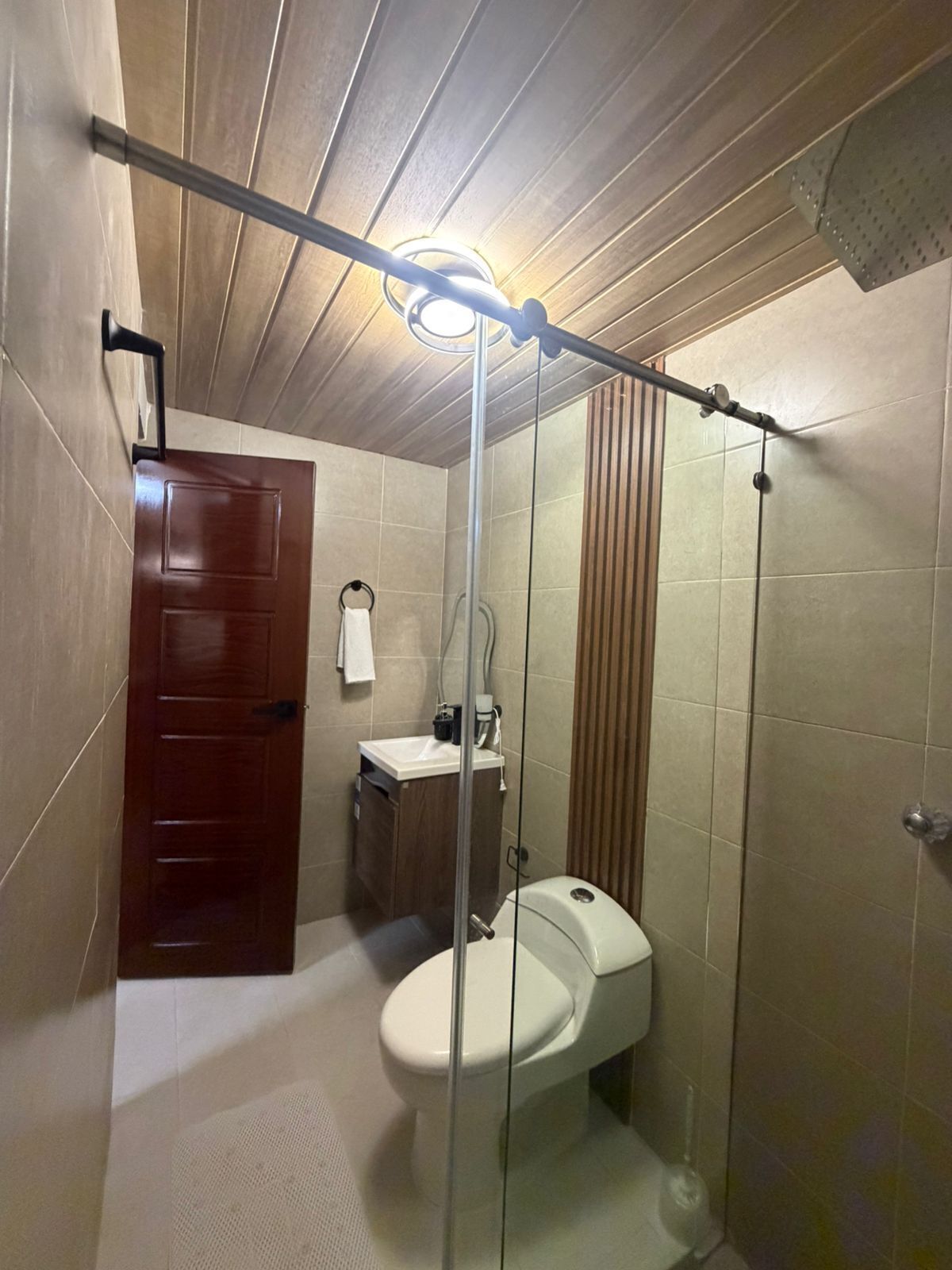 A bathroom with a shower, toilet, sink, and a wooden door.