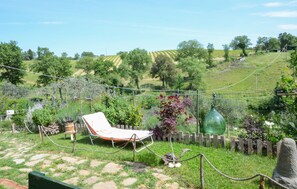 Un jardín con una silla de jardín, una valla de madera y un viñedo al fondo.