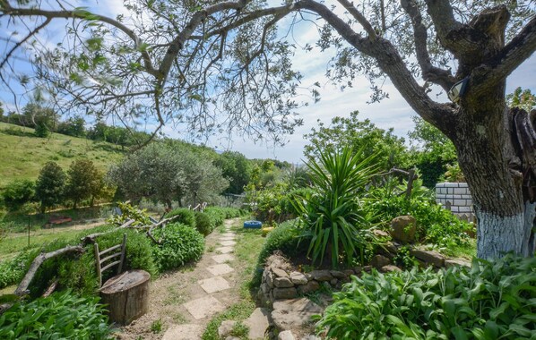 A garden pathway with a rustic wooden bench, a stone wall, and a variety of greenery.