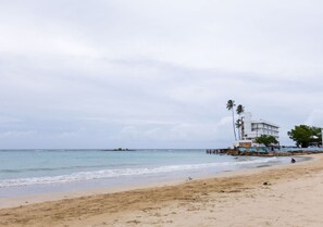 A beach with a building and palm trees. - Oceanfront Terrace Apartment - Steps to Beach (Carolina)