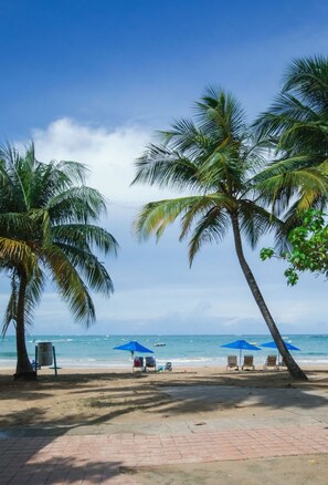 Une plage bordée de palmiers, un ciel dégagé et une vue sur l’océan.