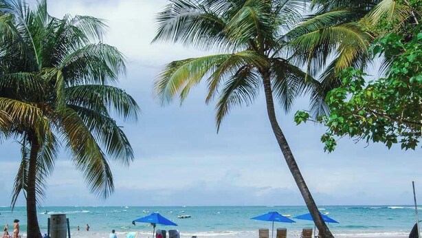 Una playa con palmeras, un paseo marítimo pavimentado y vista al océano.