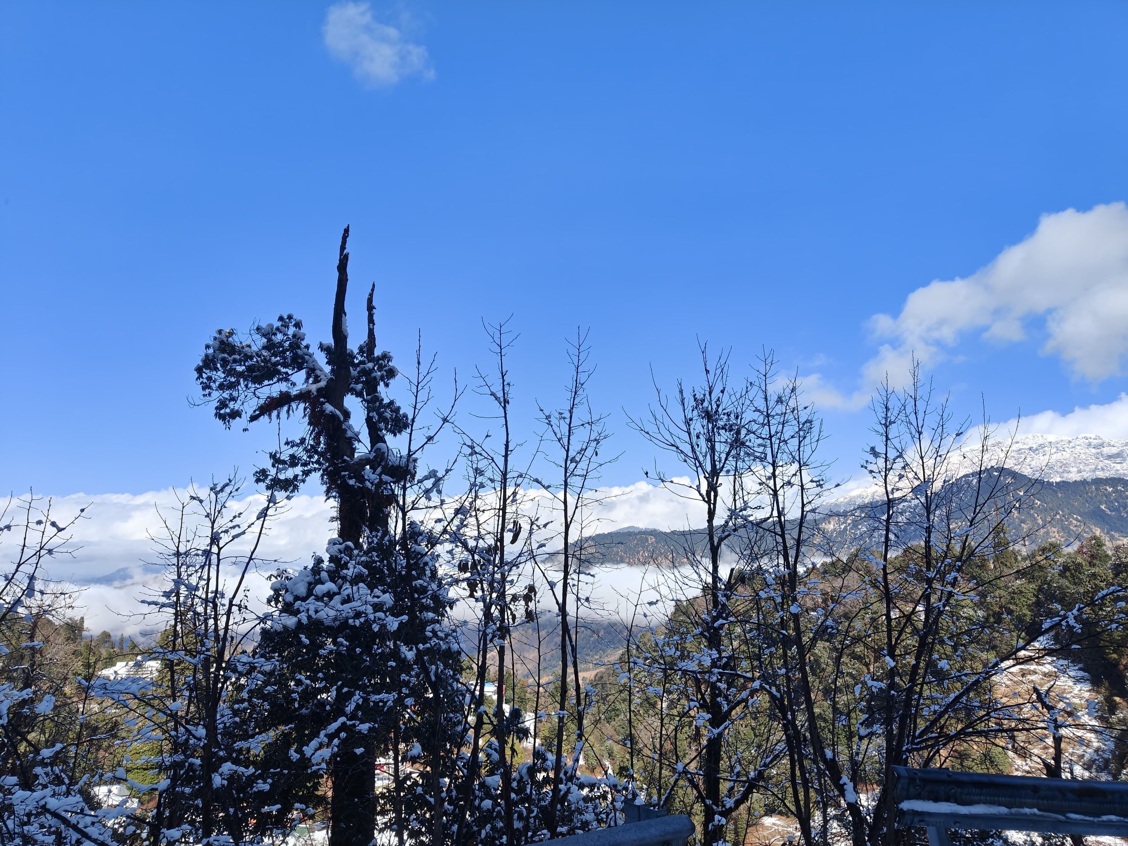 View from property