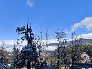 View from property - Pahadi Resort Chopta (Ukhimath)