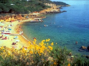 A coastal beach scene with clear water, boats, and people. - Malea - MALEA by ColombiElbaVacanze (Capoliveri)