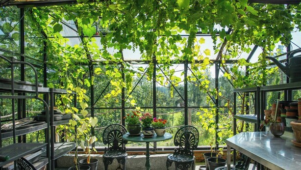 A greenhouse with a table and chairs, surrounded by potted plants and a metal railing. - 1929 villa with pool and spa by Lake Hällungen (Svenshögen)