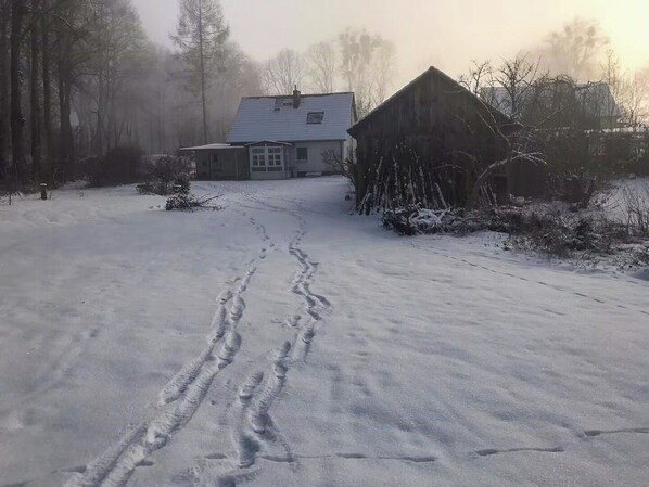 A snow-covered road leading to a house with a chimney, surrounded by trees and bushes. - House between forest and fields in Brandenburg (Casekow)