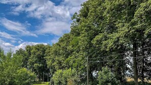 Un'area verdeggiante con alberi e una recinzione.