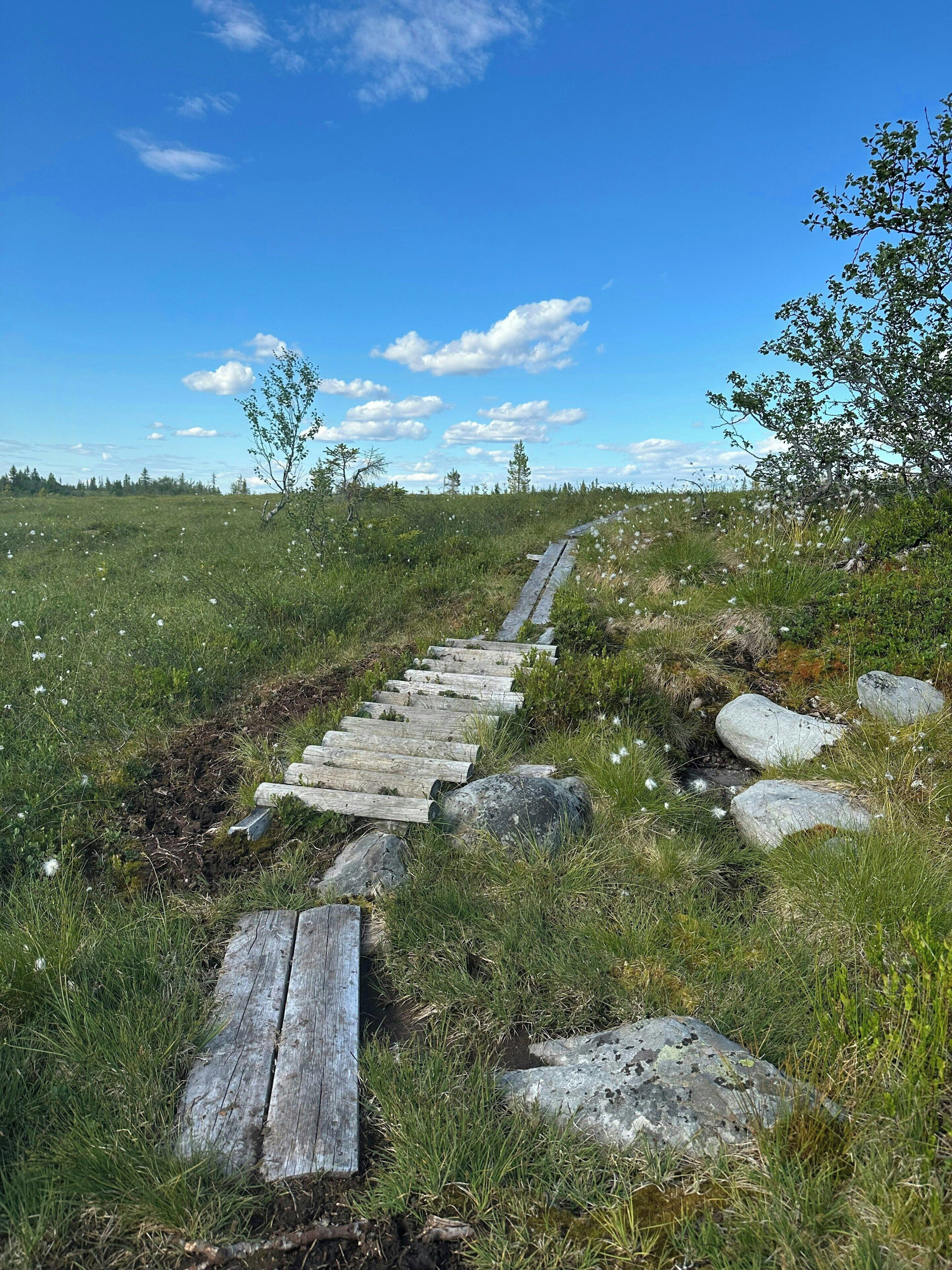 Ulkoalueet