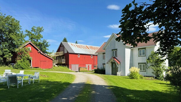Exterior - Farmhouse with wildlife close to Steinkjær (Steinkjer)