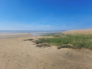 Beach - Nature retreat by Jægerspris beach (Jægerspris)