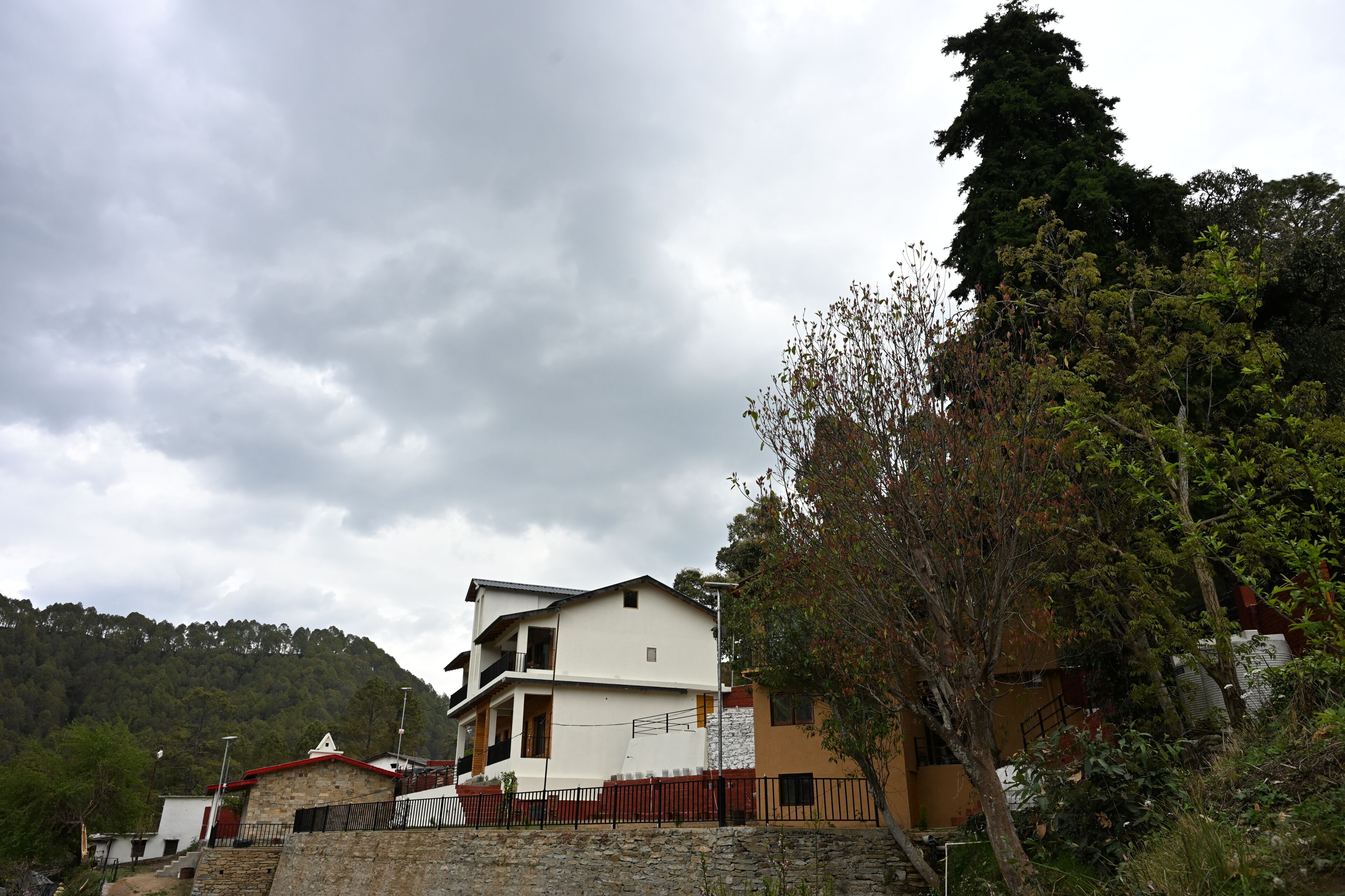 Eksteriør