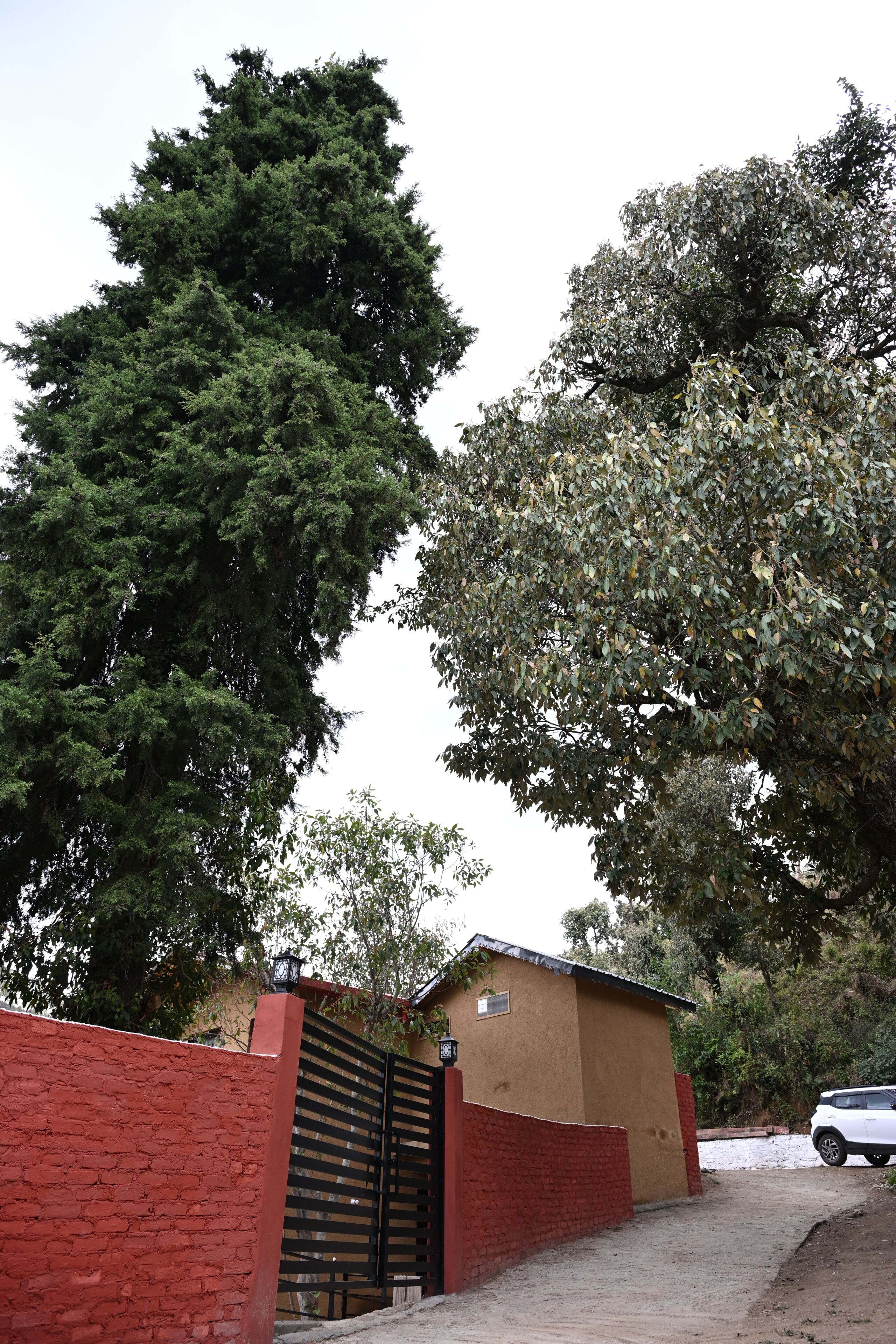 Jardines del alojamiento