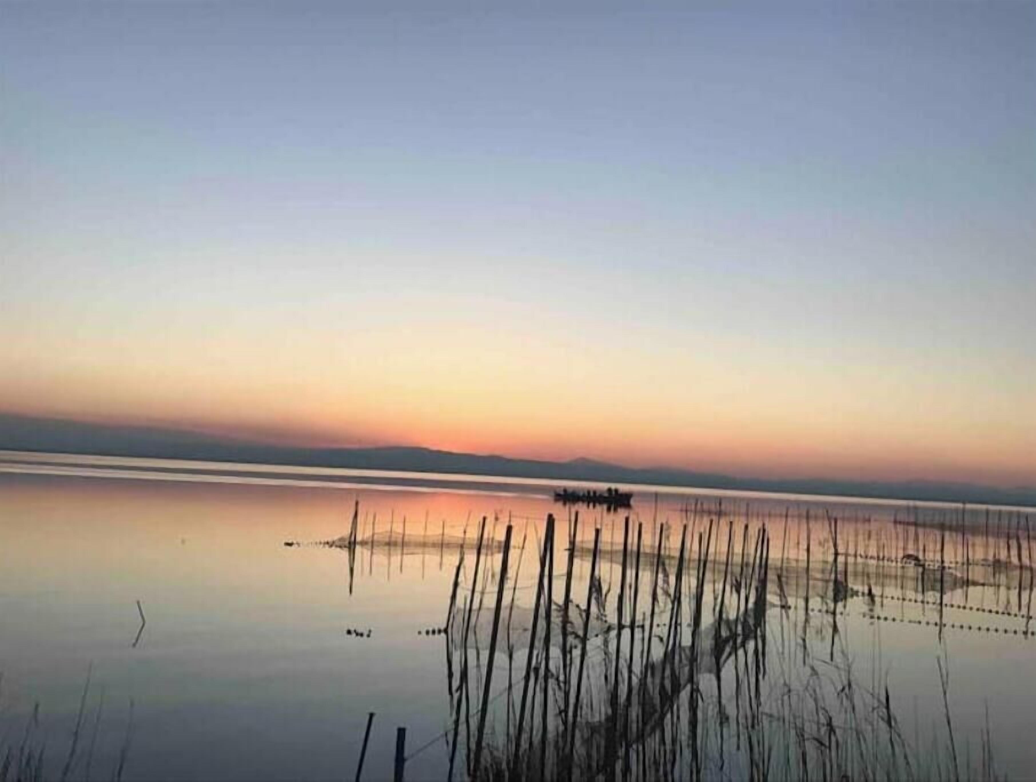 A calm body of water with reeds in the foreground and a distant shoreline.