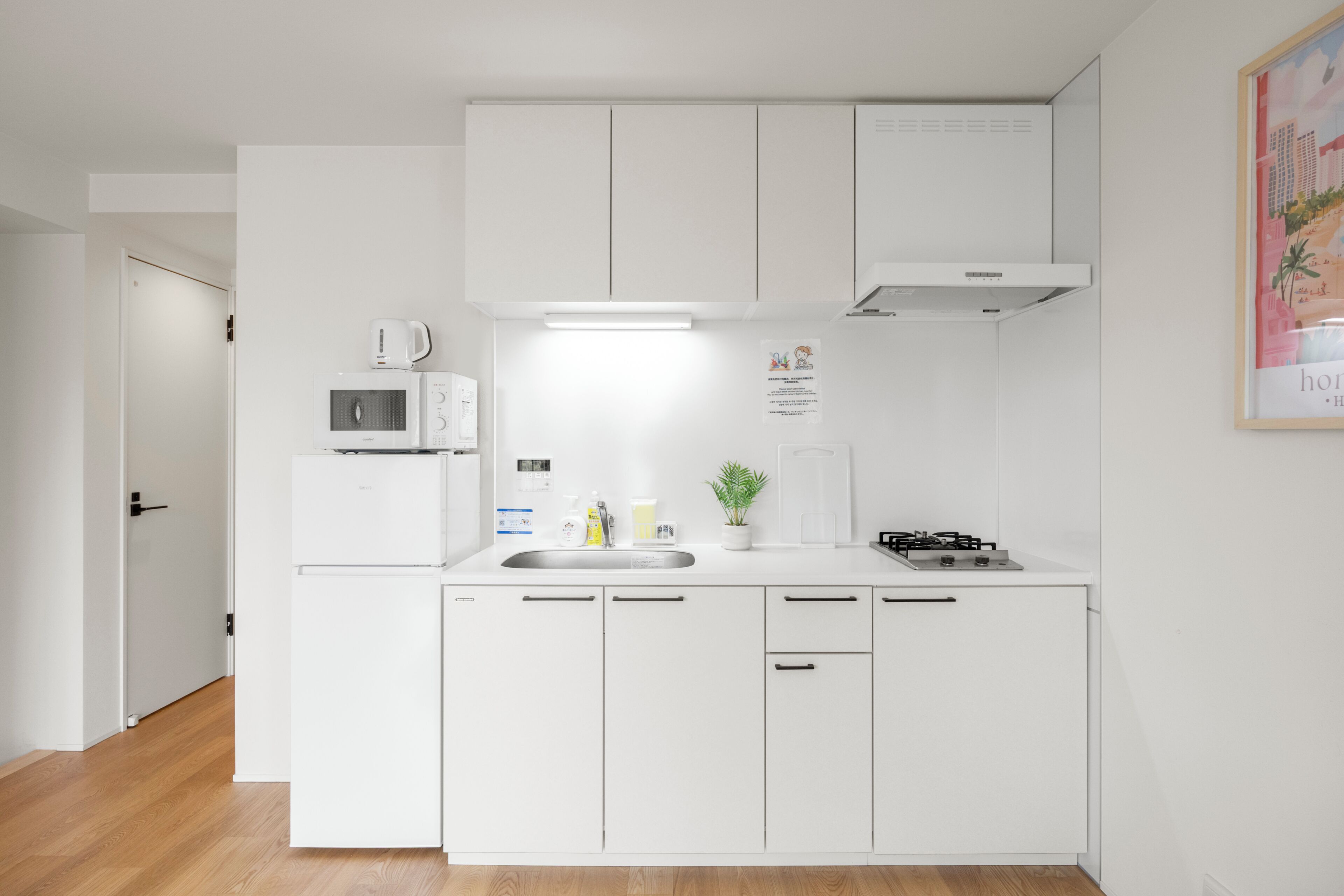 Apartment, 1 Double Bed with Sofa bed, Non Smoking, Beachfront | Private kitchen | Fridge, microwave