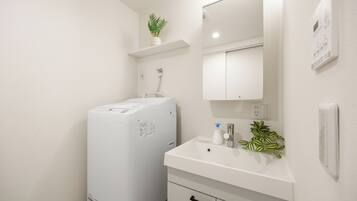 Een kleine badkamer met een witte wastafel, een spiegel, een klein plankje met een plantje, en een wit apparaat.