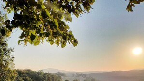 Campi a terrazze, alberi e cielo sereno.