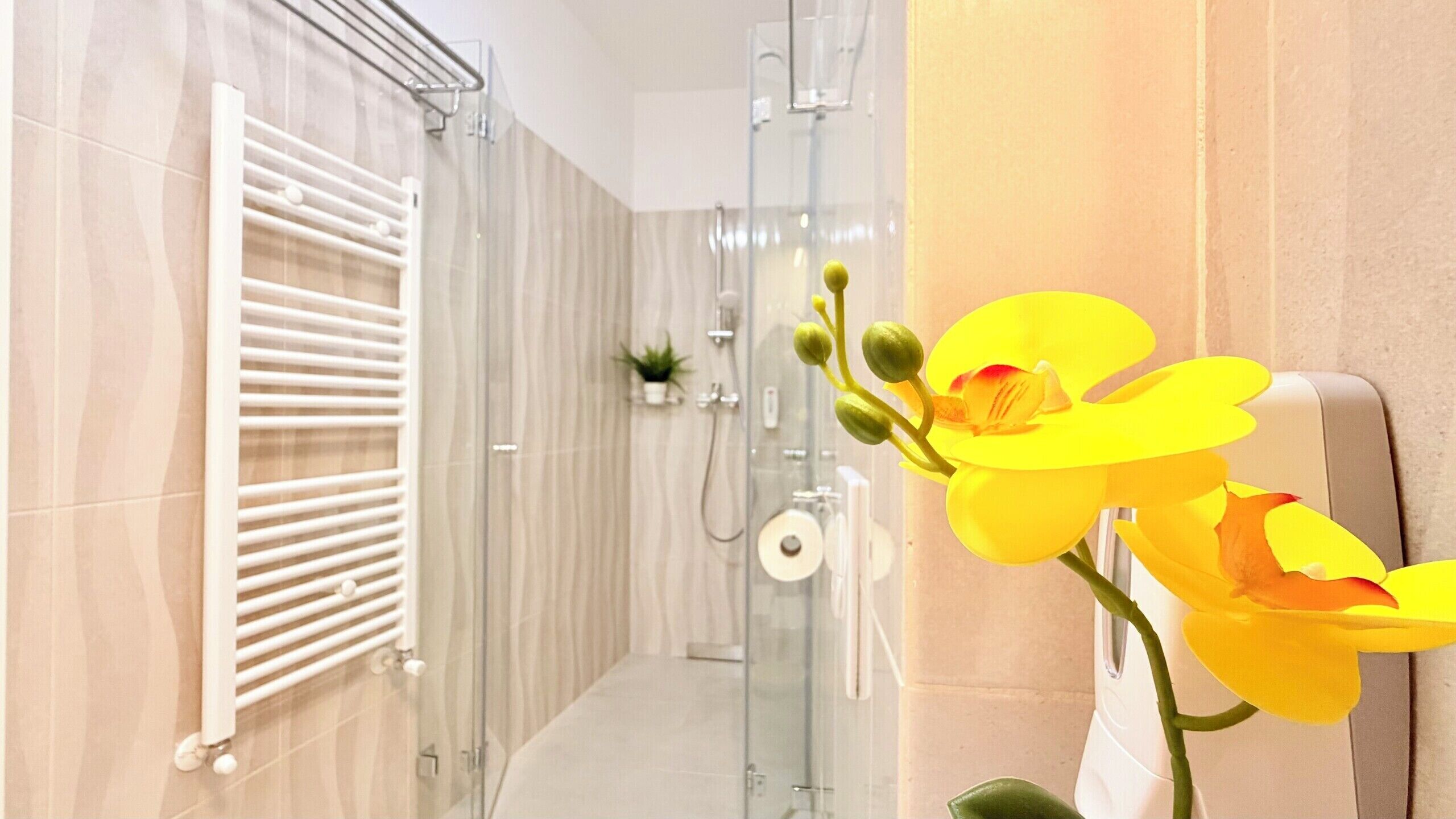 Comfort Apartment, 1 Bedroom, Non Smoking | Bathroom | Shower, hair dryer, towels, soap