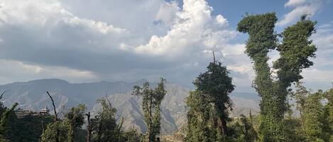 A mountainous landscape with trees and a clear sky.