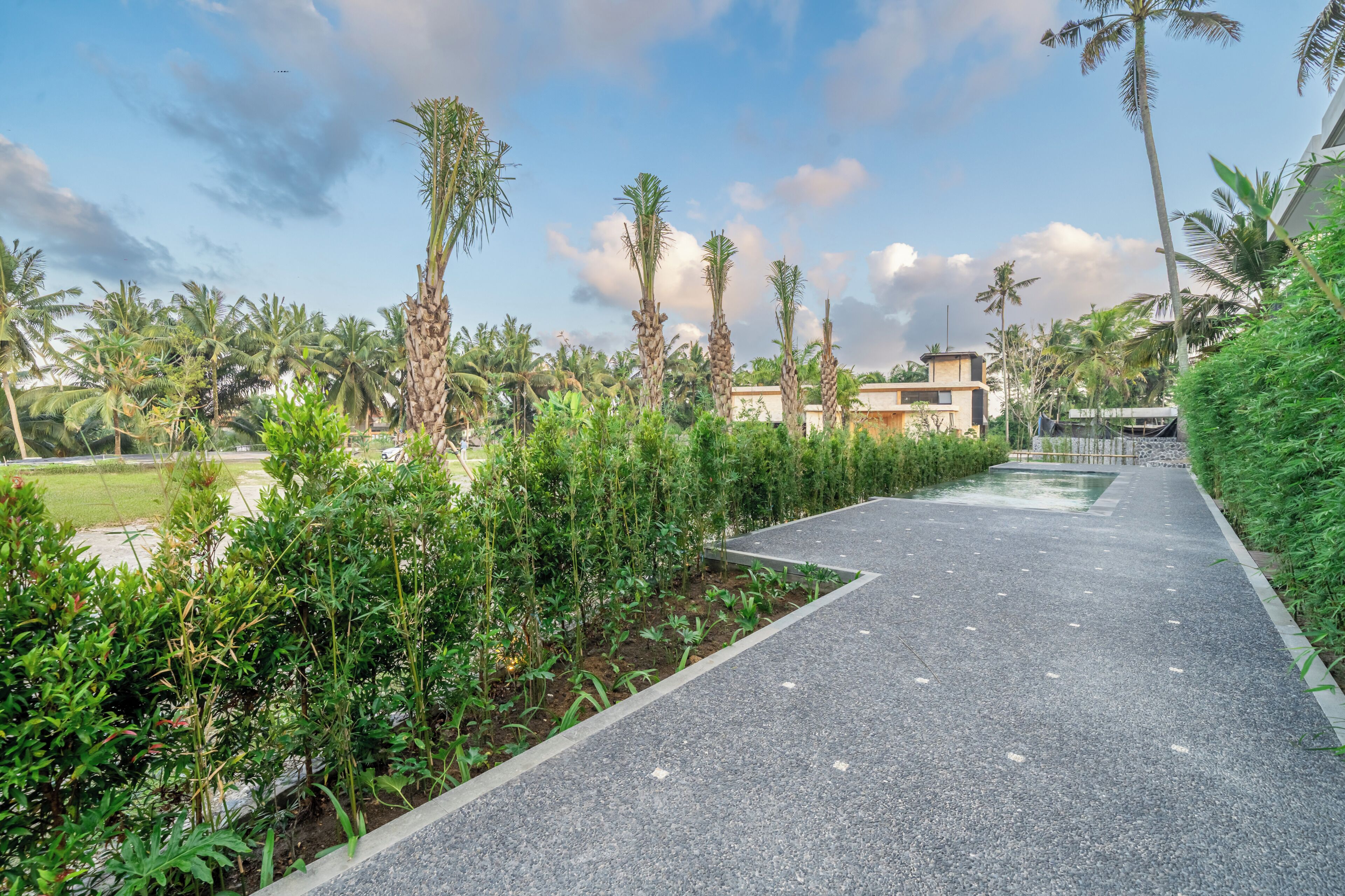 A pathway lined with greenery and palm trees, leading to a building with a modern design.
