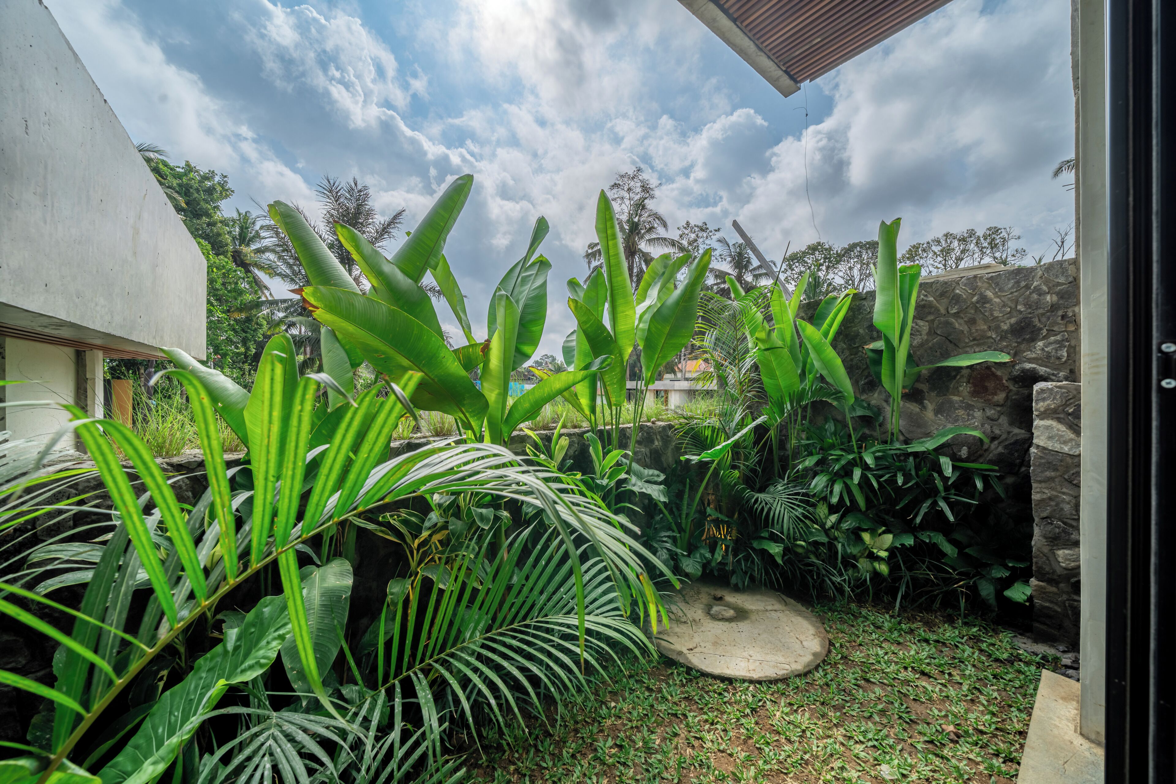 Un giardino con diverse piante e un muro in pietra.